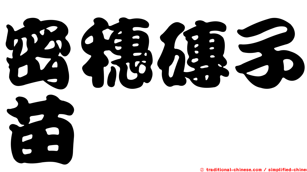 密穗磚子苗
