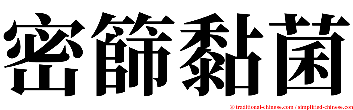 密篩黏菌 serif font