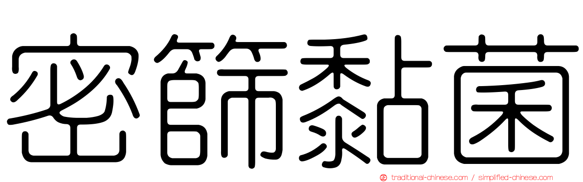 密篩黏菌