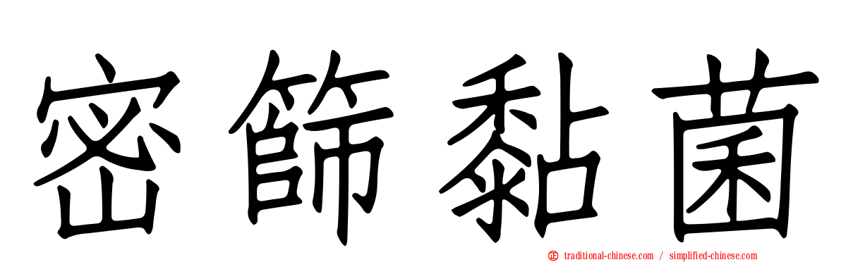 密篩黏菌