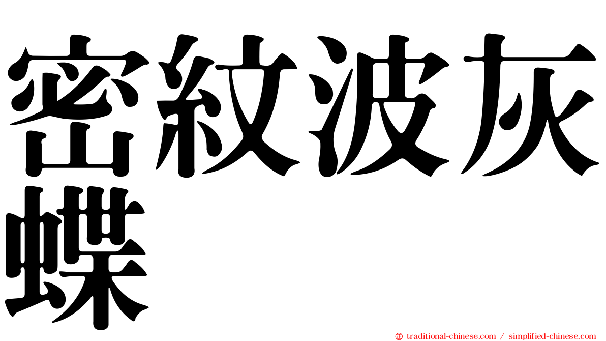 密紋波灰蝶