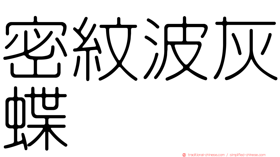 密紋波灰蝶