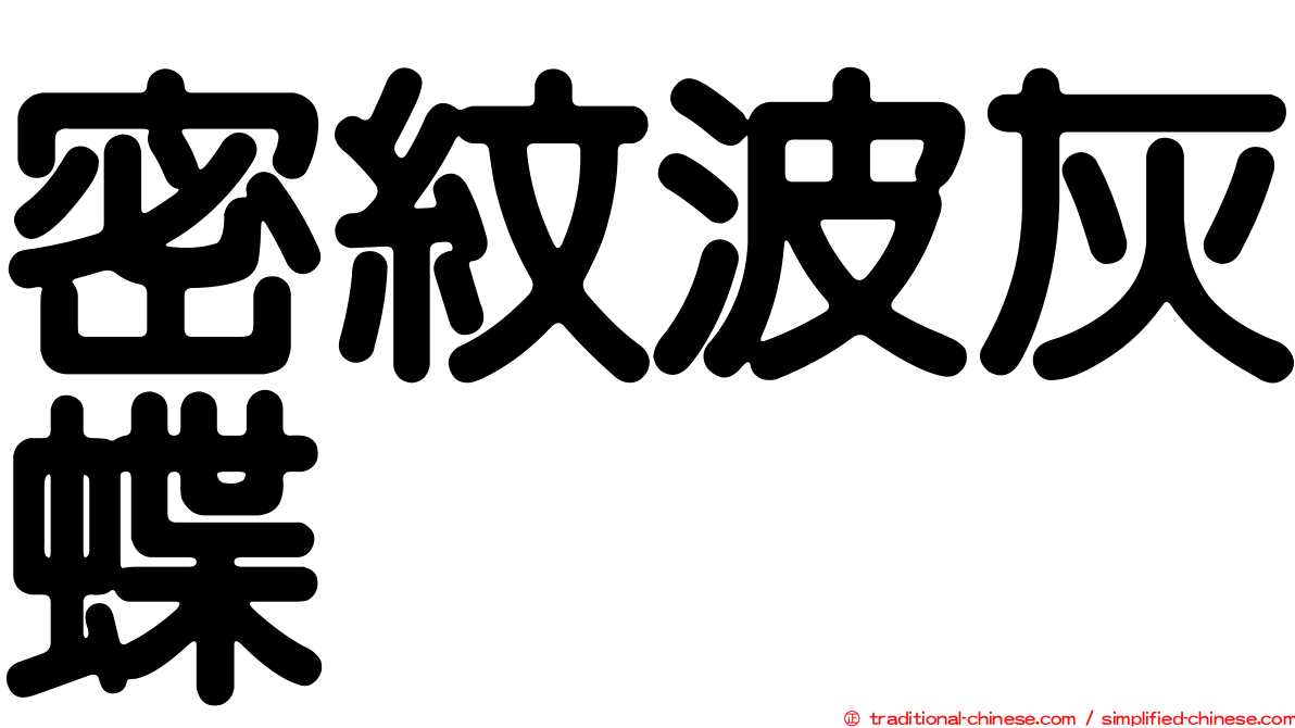 密紋波灰蝶
