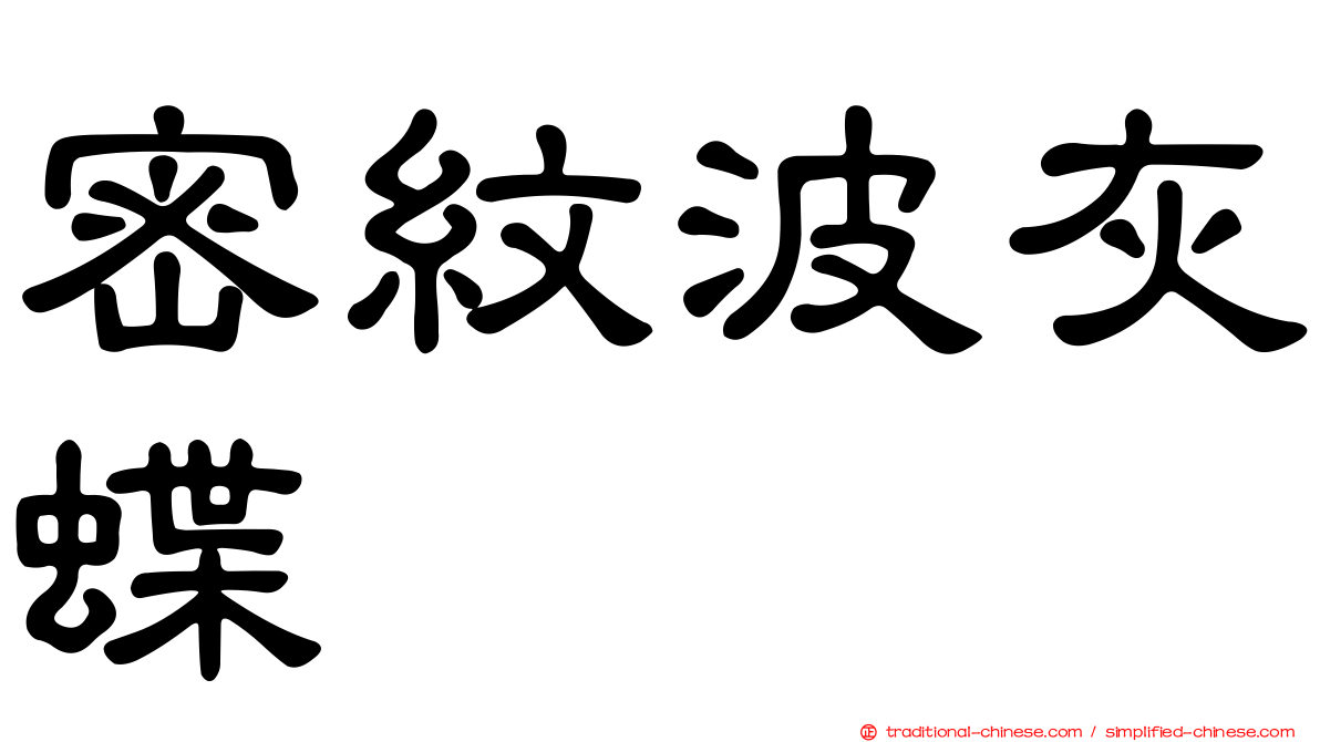 密紋波灰蝶