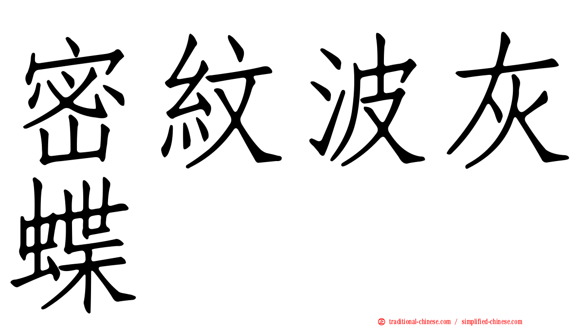 密紋波灰蝶