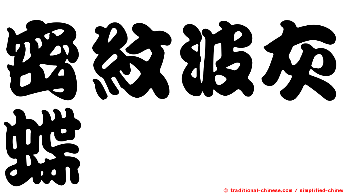 密紋波灰蝶