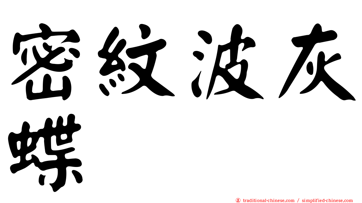 密紋波灰蝶