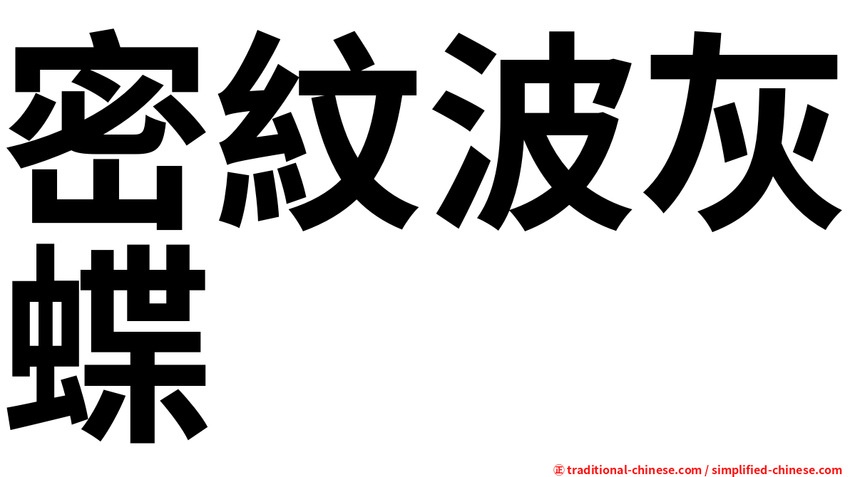 密紋波灰蝶