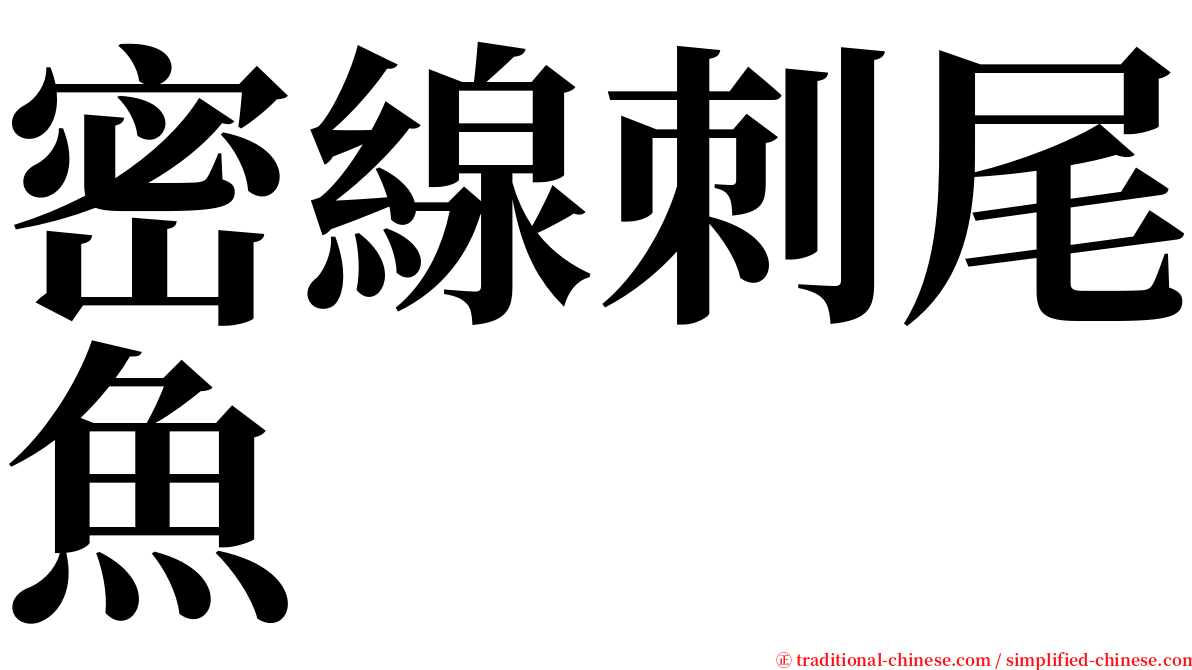 密線刺尾魚 serif font