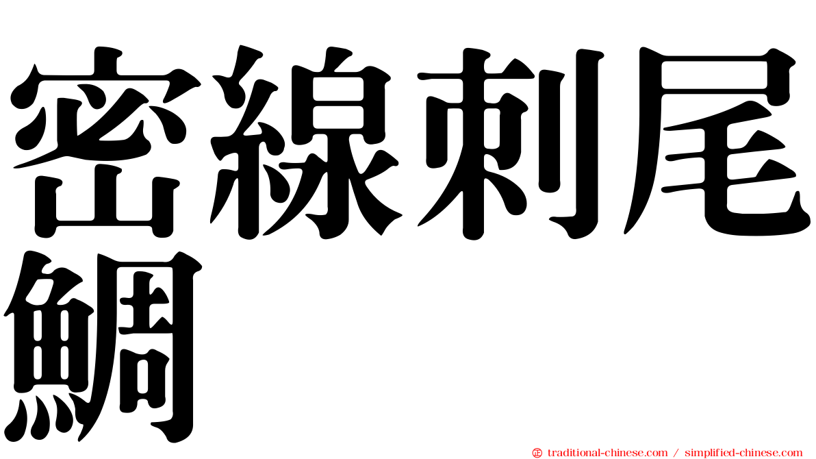 密線刺尾鯛