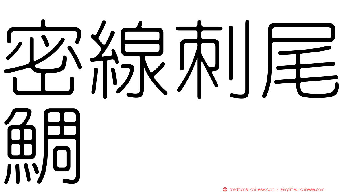 密線刺尾鯛