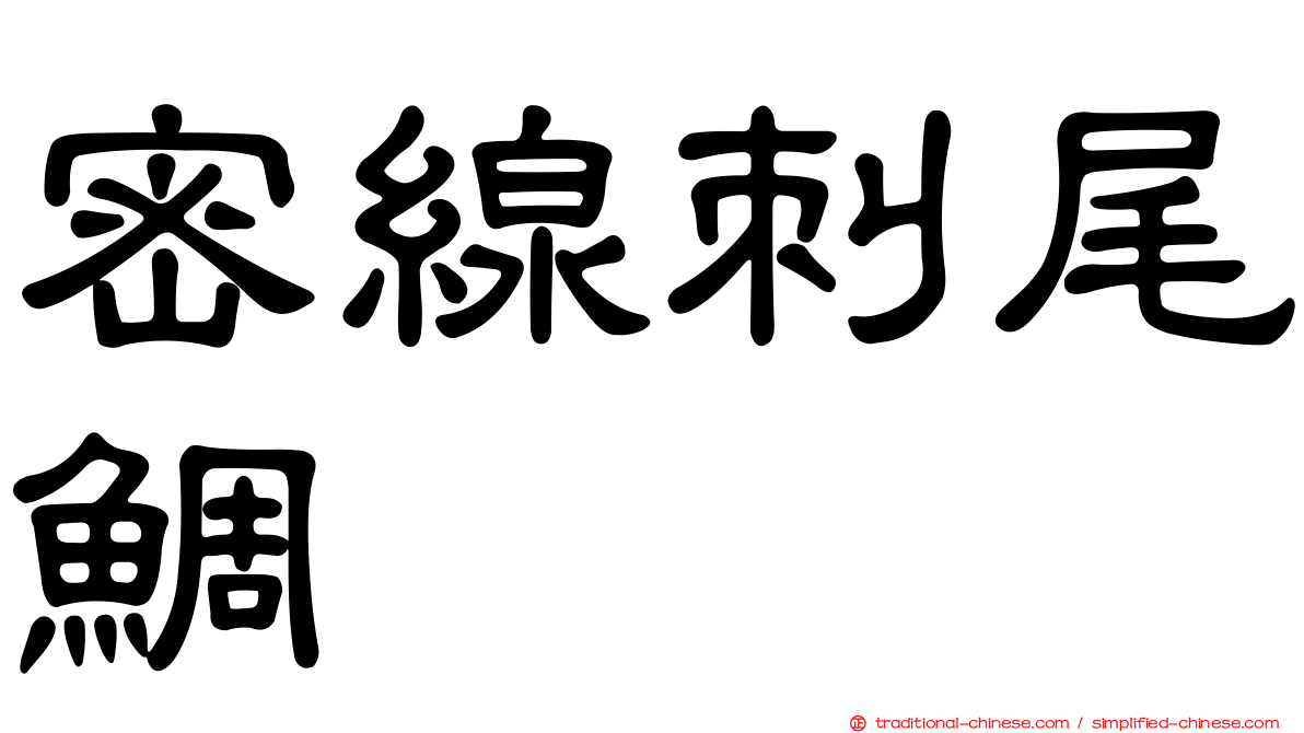 密線刺尾鯛