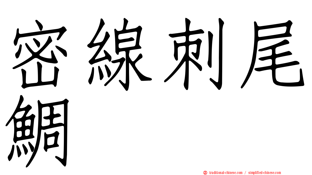 密線刺尾鯛