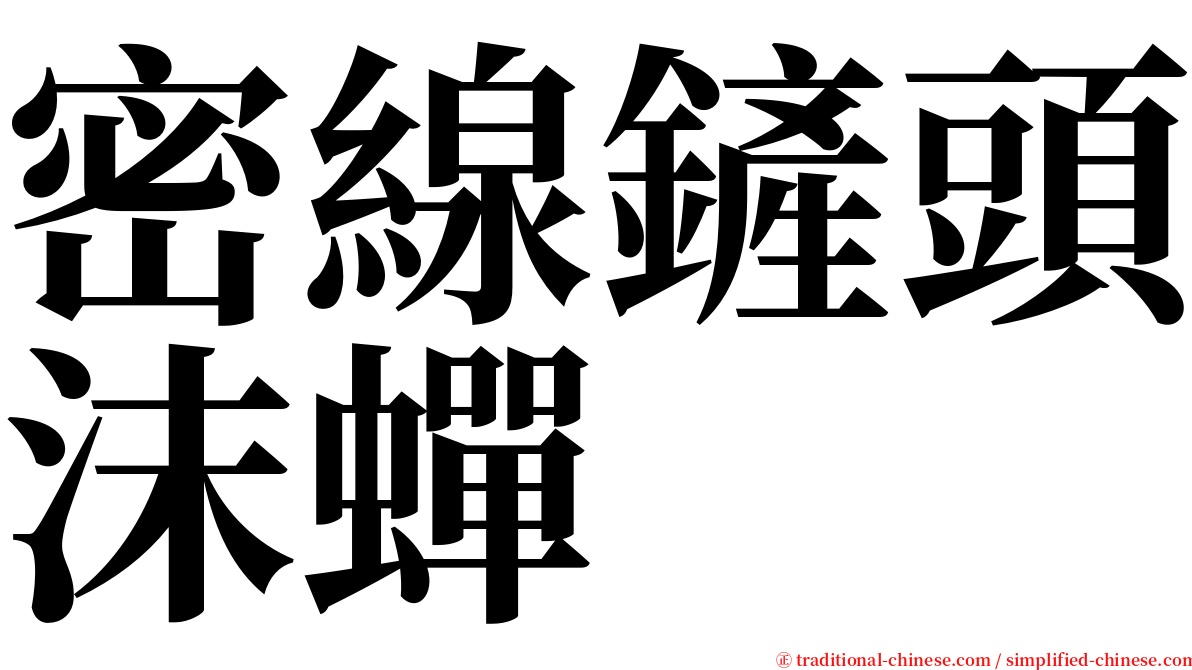 密線鏟頭沫蟬 serif font