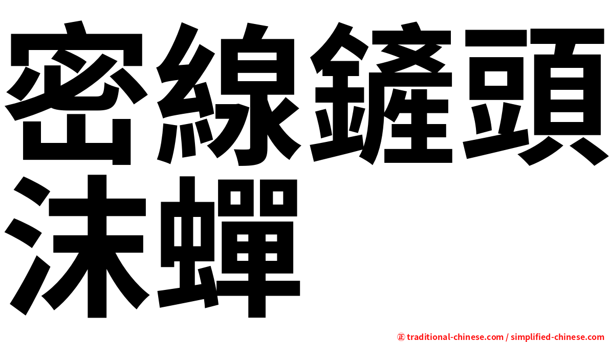 密線鏟頭沫蟬