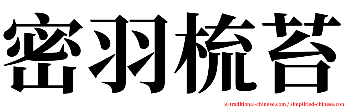密羽梳苔 serif font