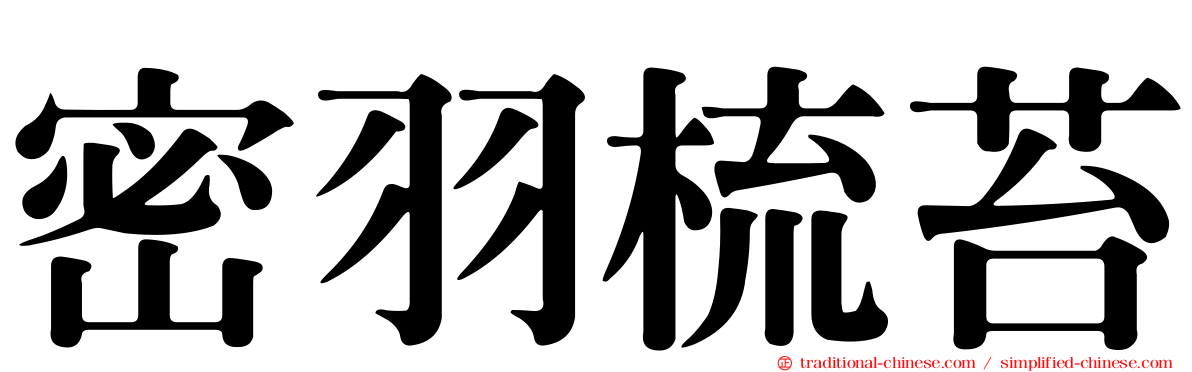 密羽梳苔
