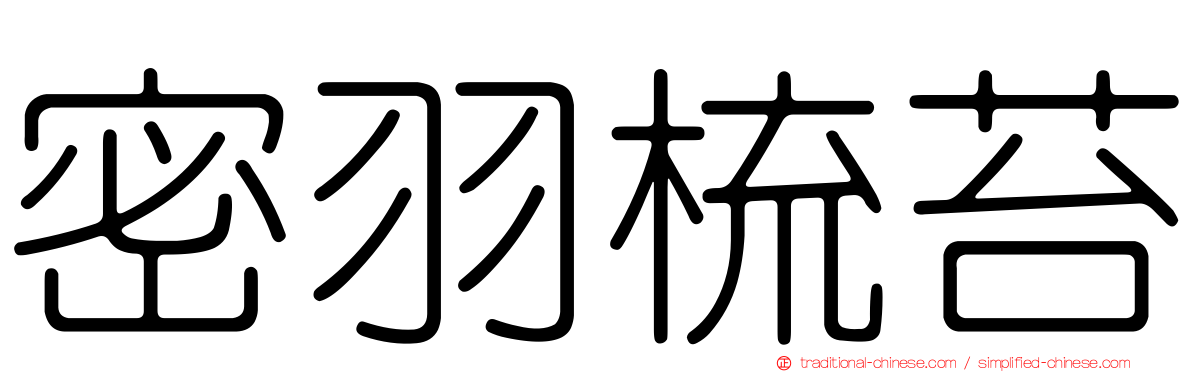 密羽梳苔