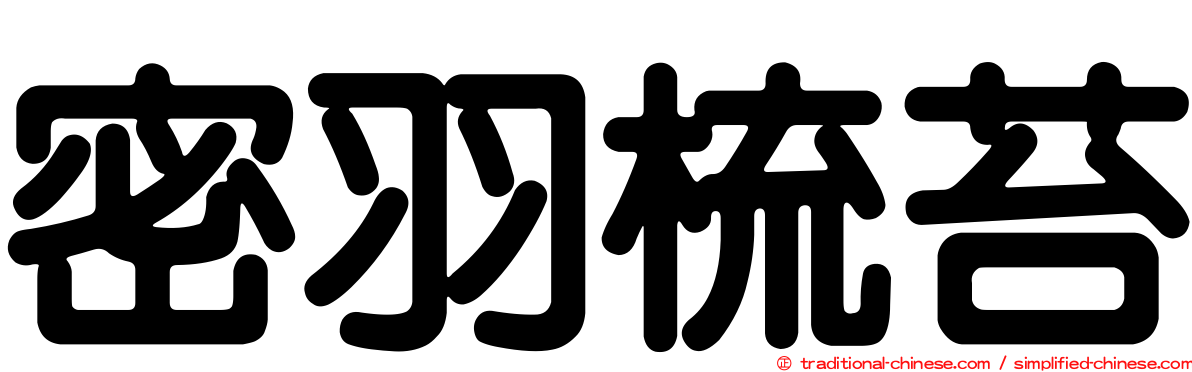 密羽梳苔