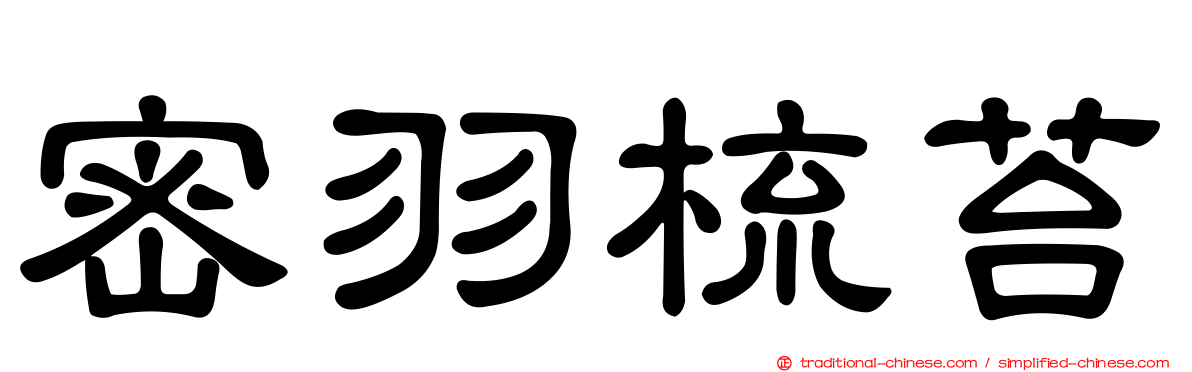 密羽梳苔