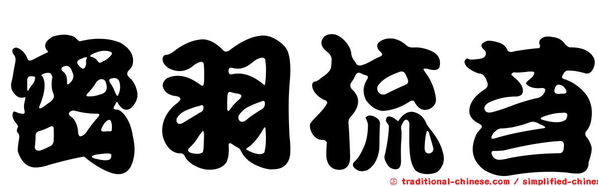 密羽梳苔