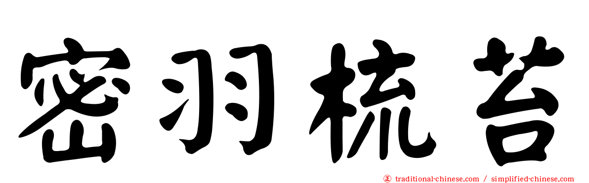 密羽梳苔