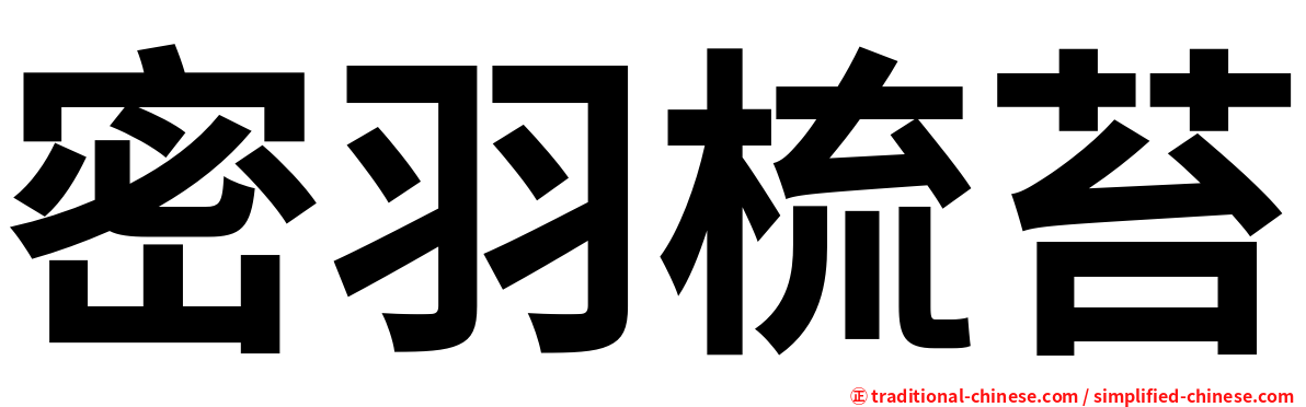 密羽梳苔