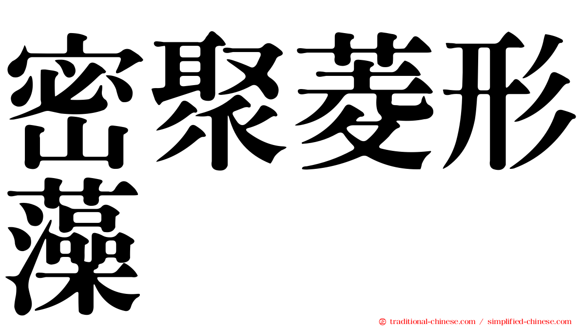 密聚菱形藻