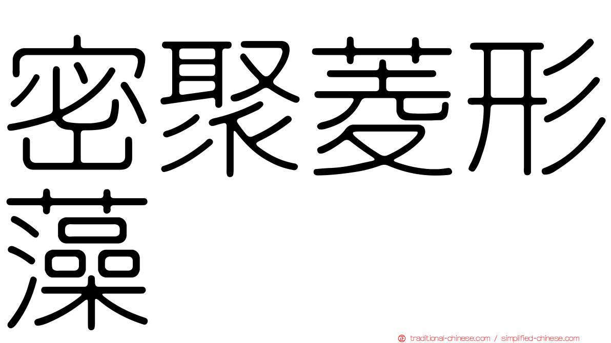 密聚菱形藻