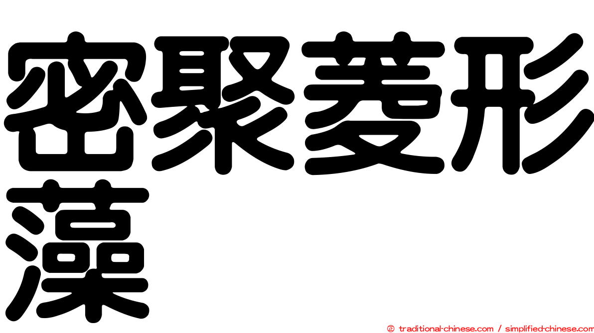 密聚菱形藻