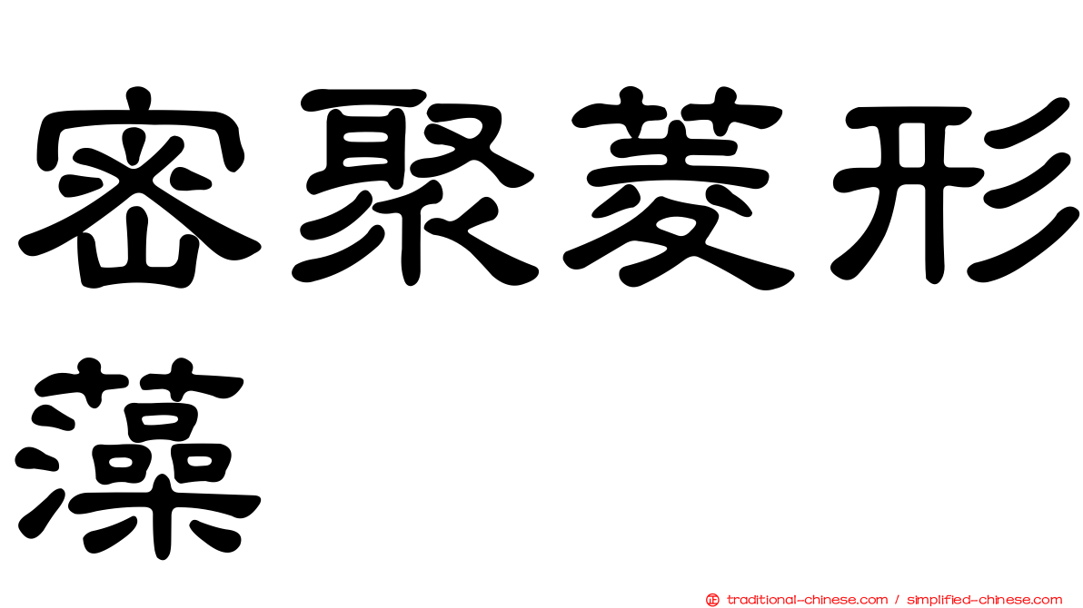 密聚菱形藻