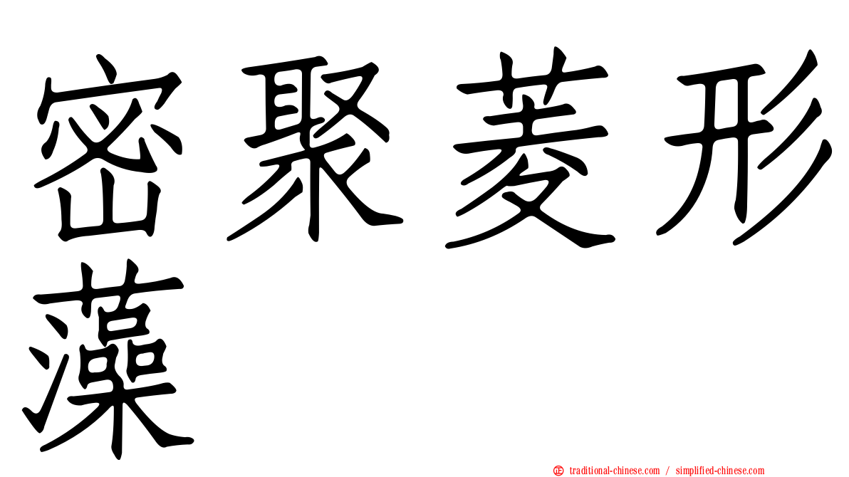 密聚菱形藻