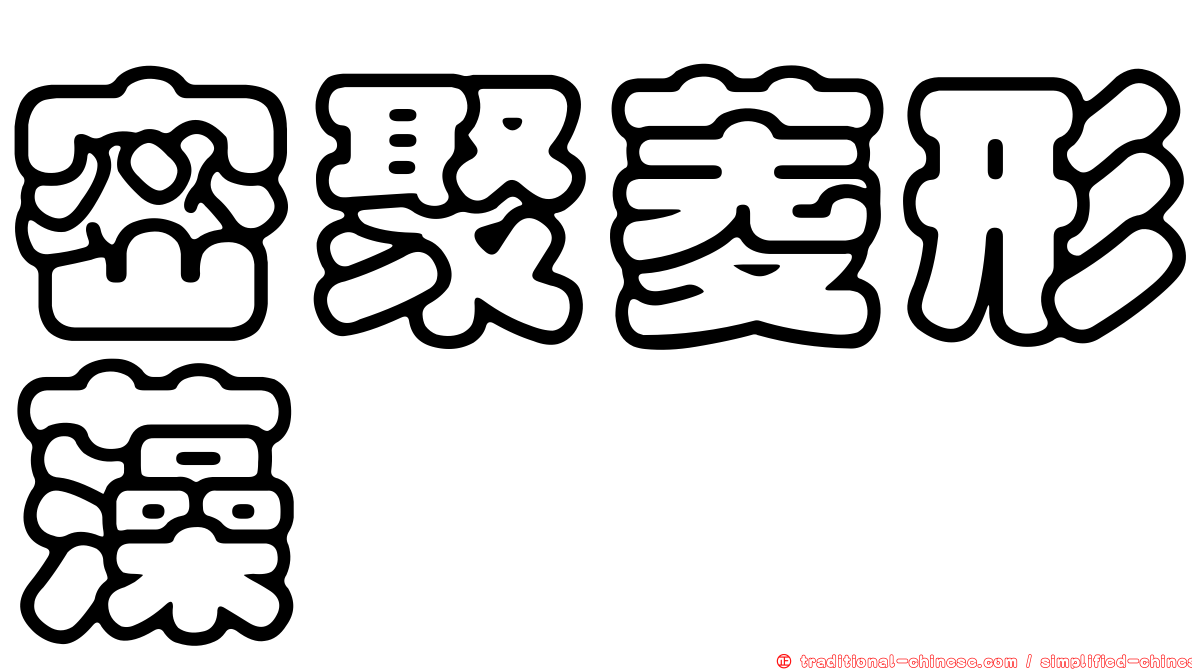 密聚菱形藻