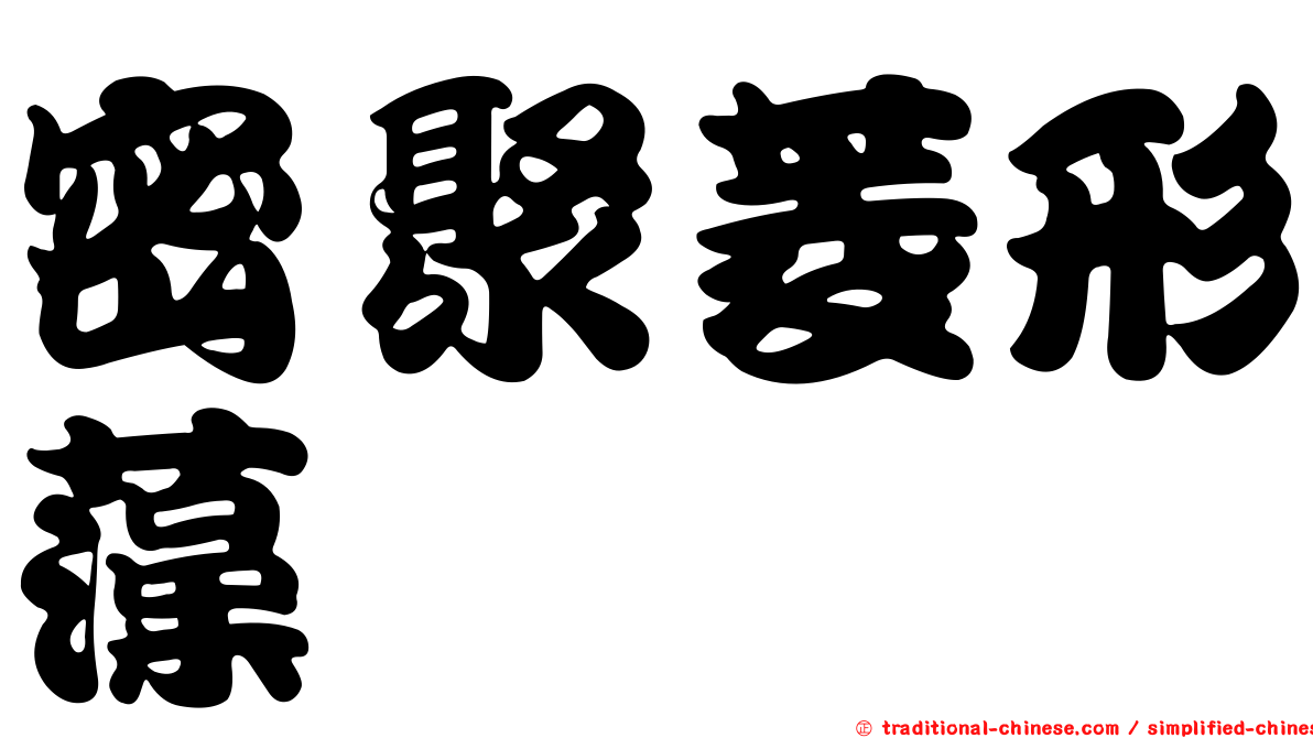 密聚菱形藻
