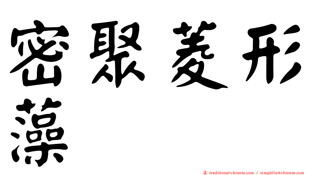 密聚菱形藻