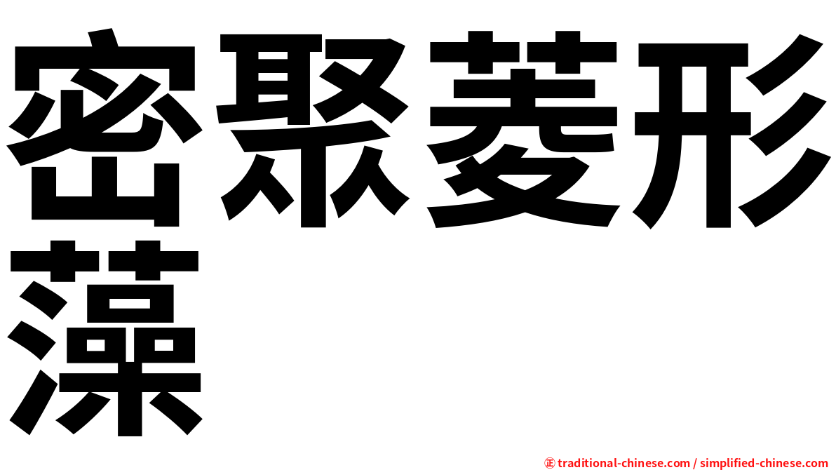 密聚菱形藻