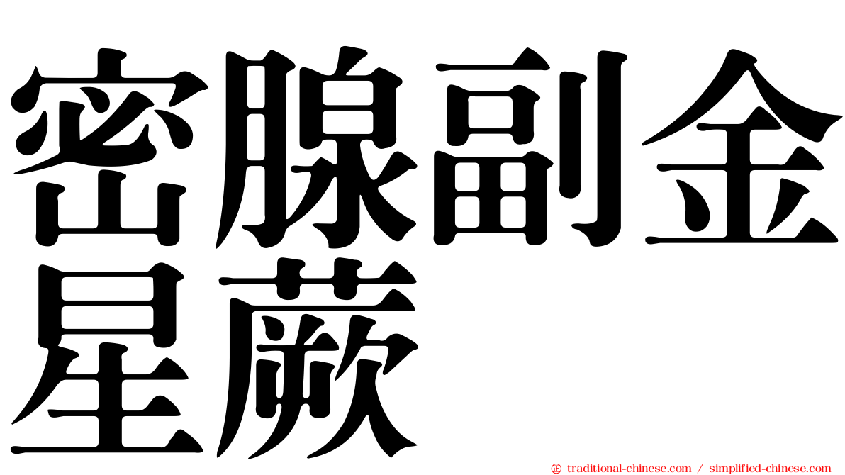 密腺副金星蕨