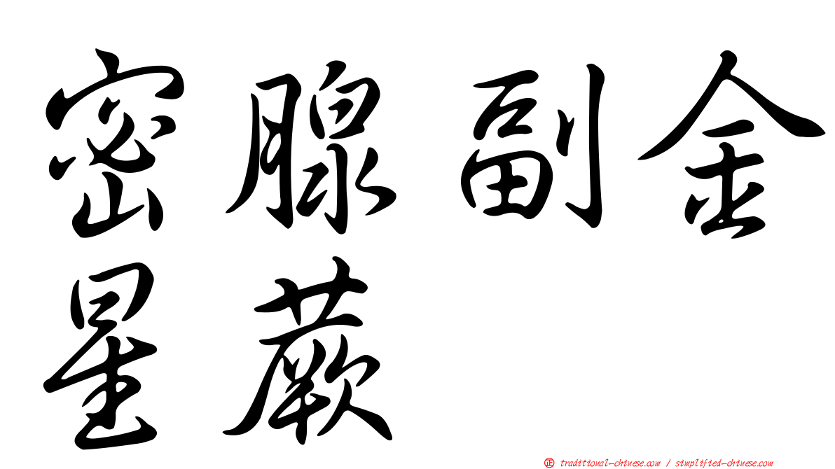 密腺副金星蕨