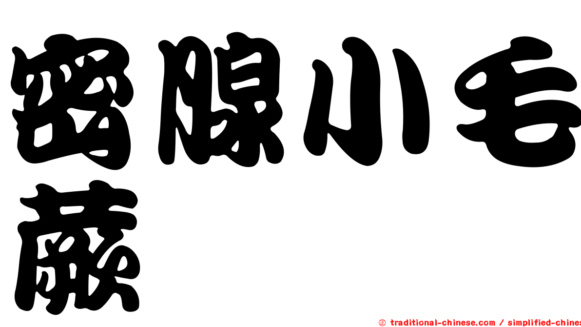 密腺小毛蕨
