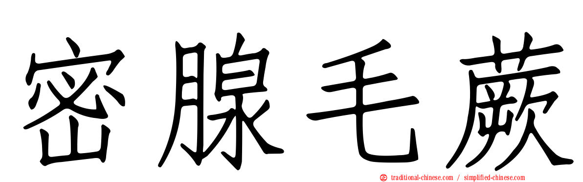 密腺毛蕨