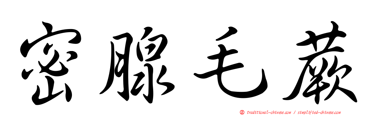 密腺毛蕨