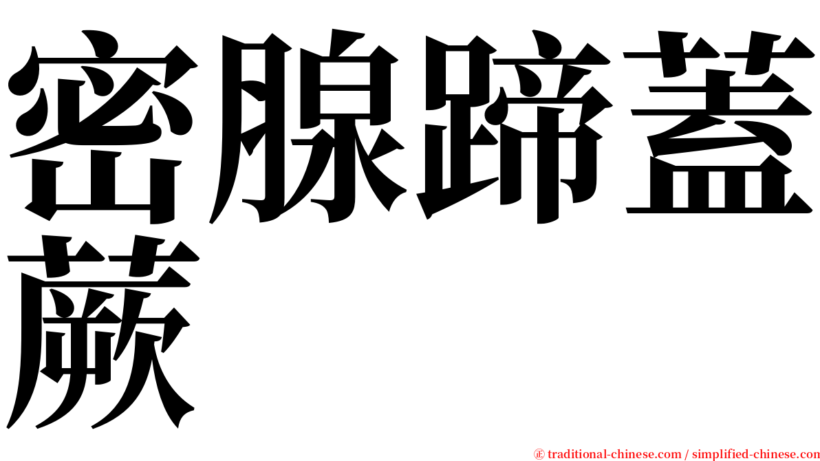密腺蹄蓋蕨 serif font