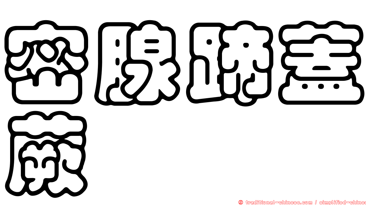 密腺蹄蓋蕨