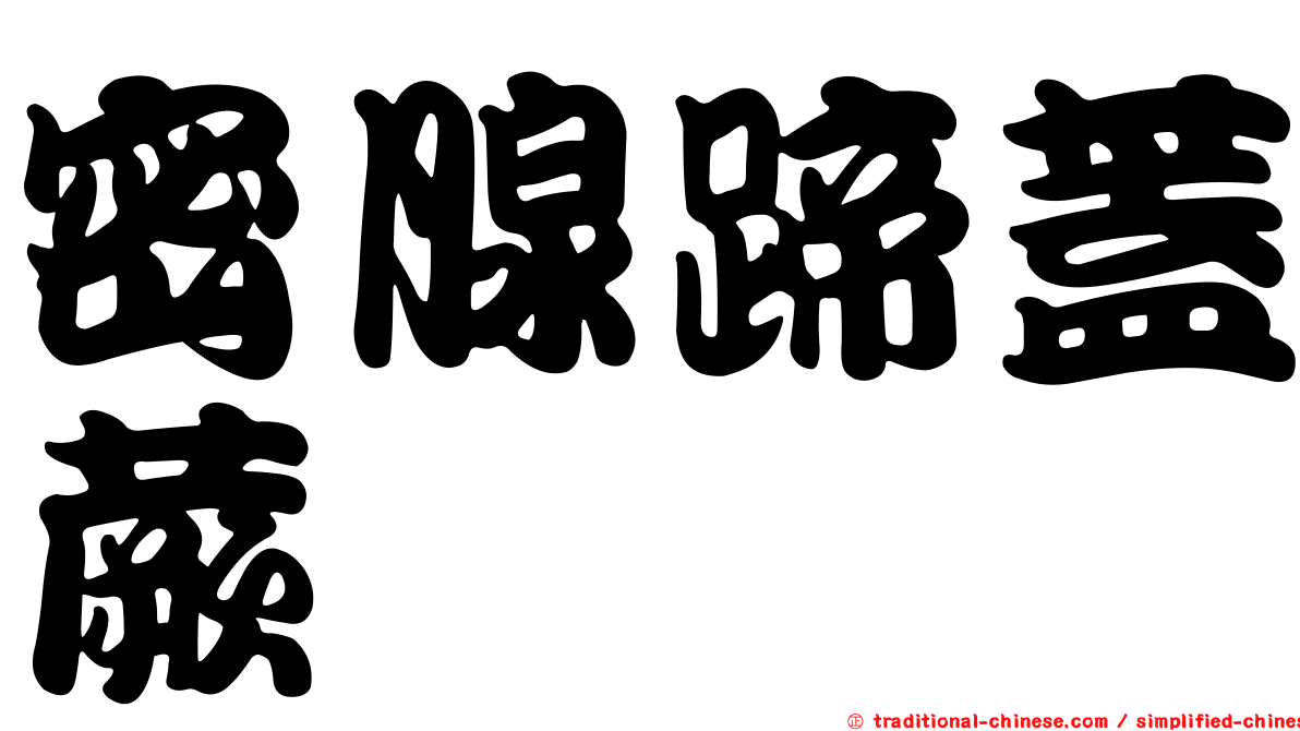 密腺蹄蓋蕨