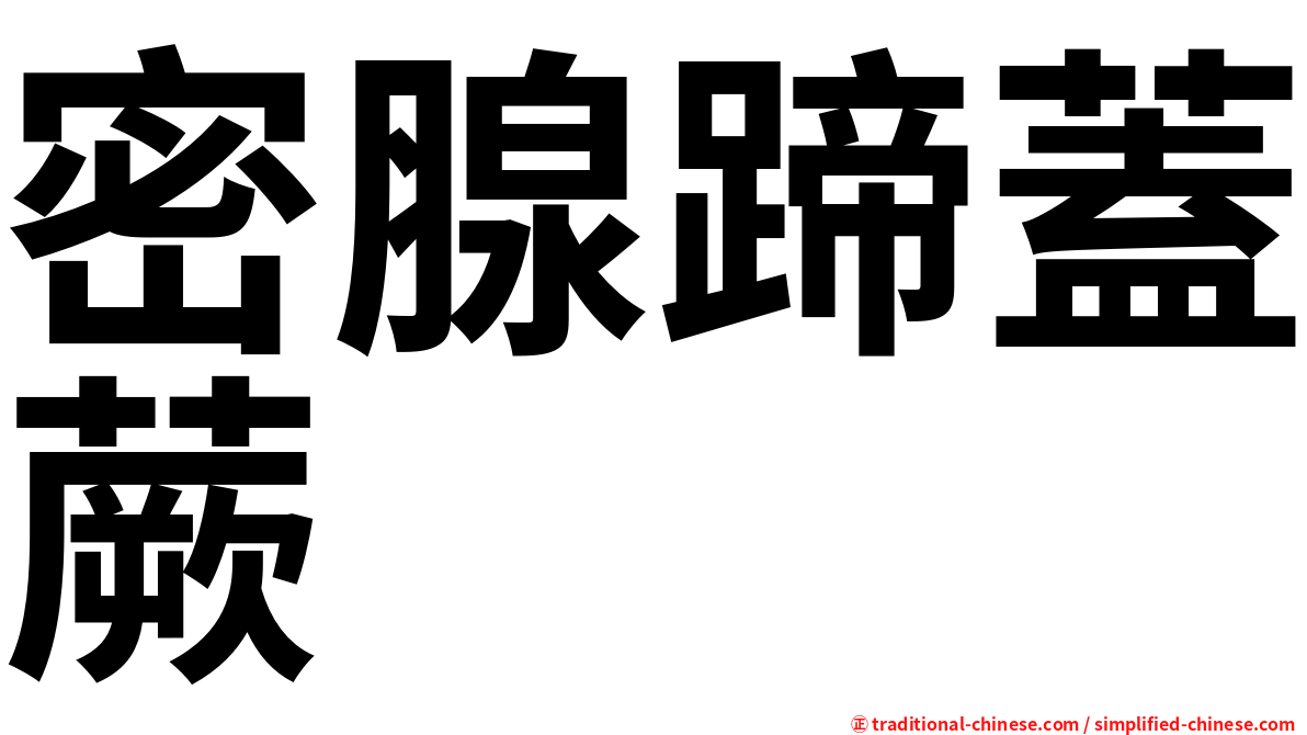 密腺蹄蓋蕨