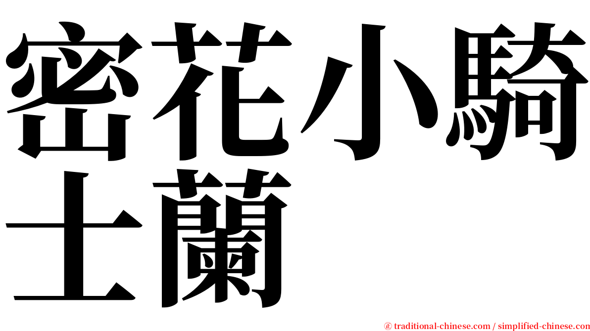 密花小騎士蘭 serif font