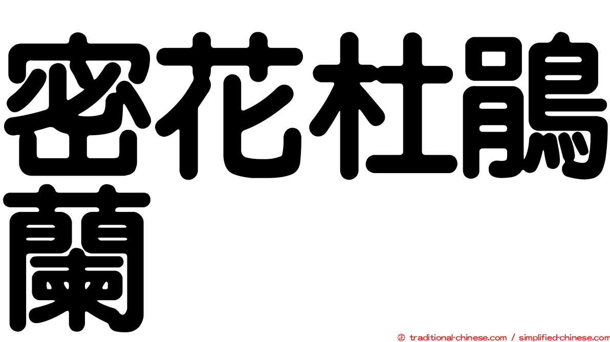 密花杜鵑蘭