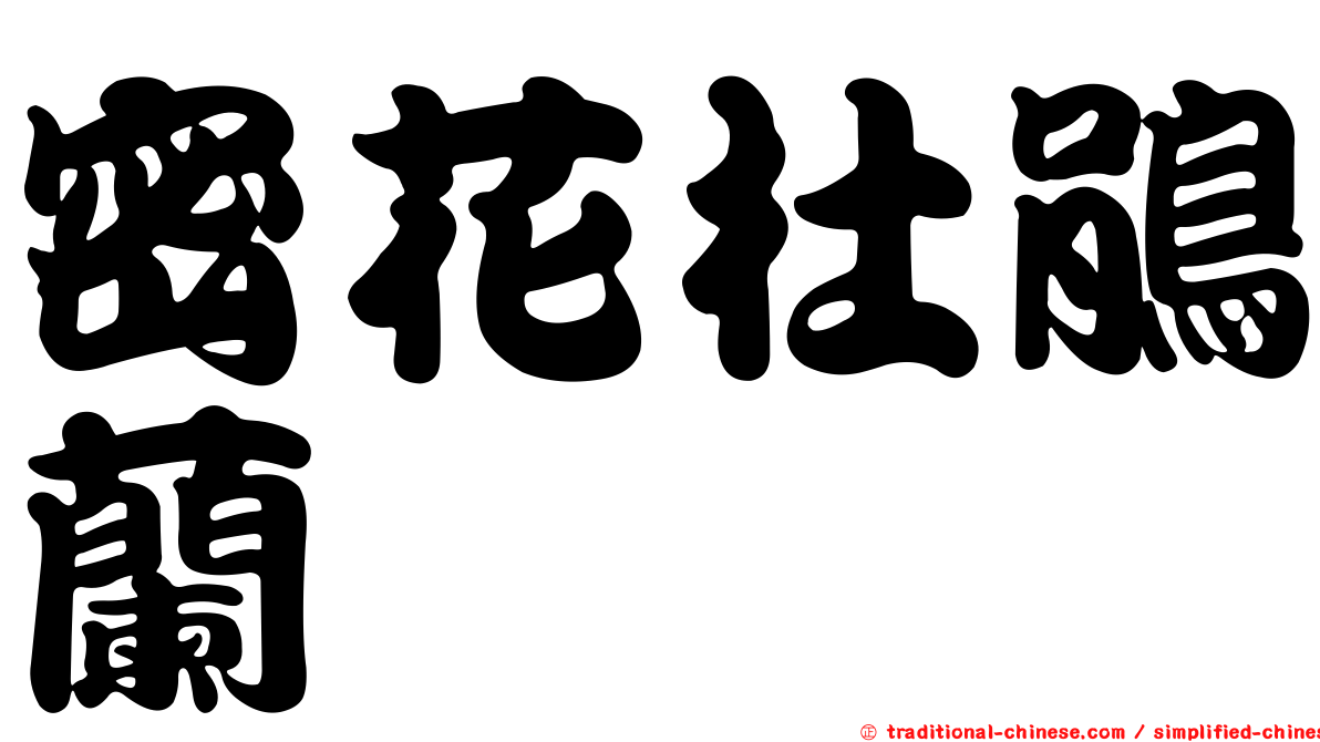 密花杜鵑蘭