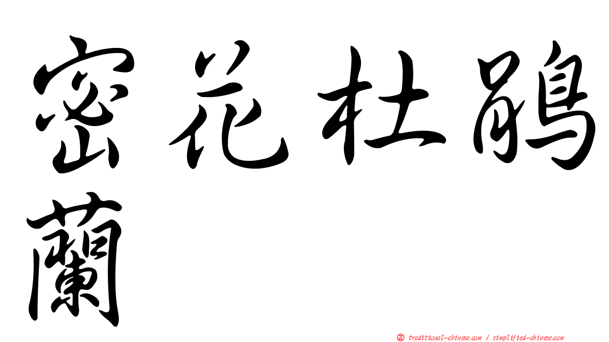 密花杜鵑蘭