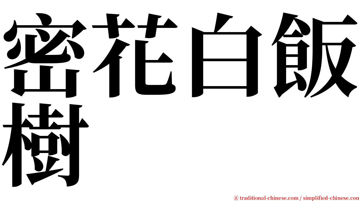 密花白飯樹 serif font